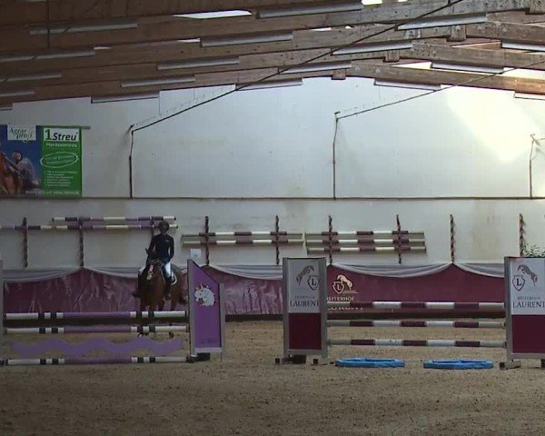 Reitturnier Eicherloh RH Laurent/Obb. 2024