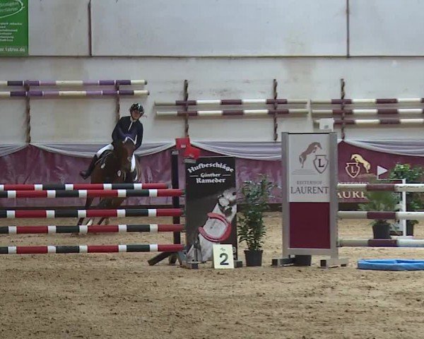 Reitturnier Eicherloh RH Laurent/Obb. 2024