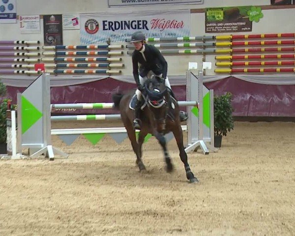 Reitturnier Eicherloh RH Laurent/Obb. 2024
