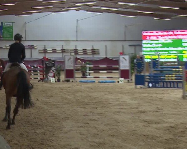 Reitturnier Eicherloh RH Laurent/Obb. 2024
