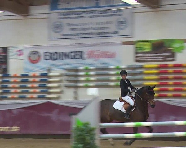 Reitturnier Eicherloh RH Laurent/Obb. 2024