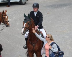 jumper Crazy Como (Hanoverian, 2007, from Calido I)