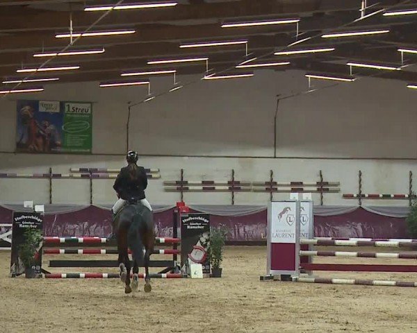 Reitturnier Eicherloh RH Laurent/Obb. 2024