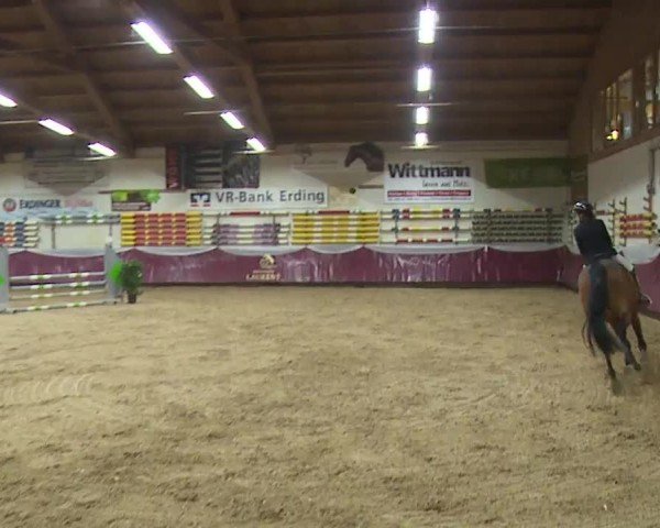 Reitturnier Eicherloh RH Laurent/Obb. 2024