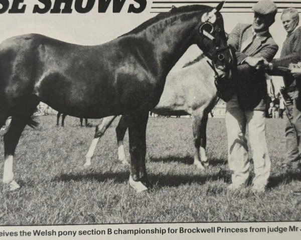 broodmare Brockwell Princess (Welsh-Pony (Section B), 1982, from Keston Royal Occasion)