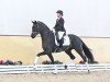 dressage horse HP For Magic (Oldenburg, 2021, from For Romance I)