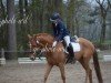 broodmare Belle Amie 94 (Hanoverian, 2018, from Bon Coeur)