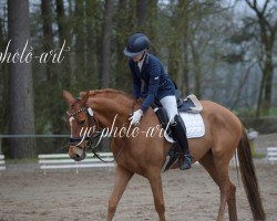 broodmare Belle Amie 94 (Hanoverian, 2018, from Bon Coeur)