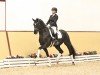 dressage horse True Hope PS (Oldenburg, 2021, from Total Hope OLD)