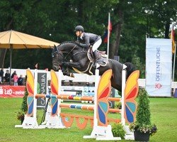 stallion Conkanno PS OLD (Oldenburg show jumper, 2019, from Conthargos)