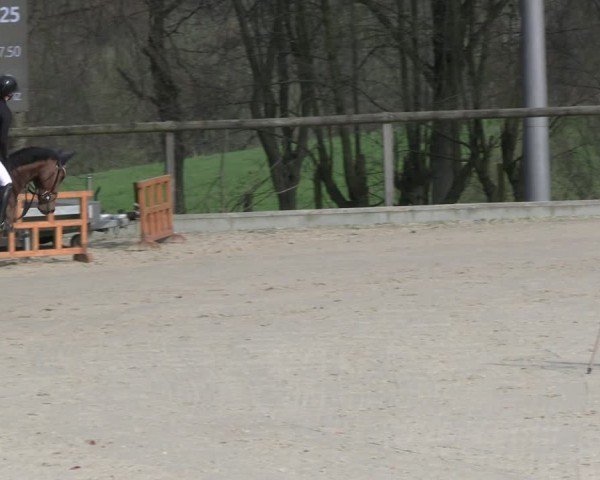Reitturnier Erkrath - Uhlenhof 2024
