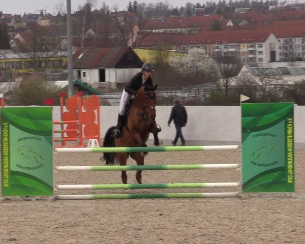 Reitturnier Zwickau 2024
