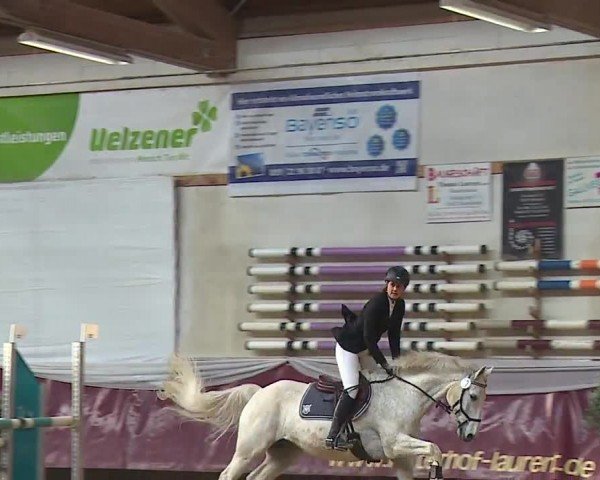 Reitturnier Eicherloh RH Laurent/Obb. 2024