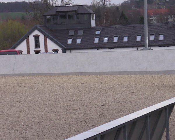 Reitturnier Zwickau 2024