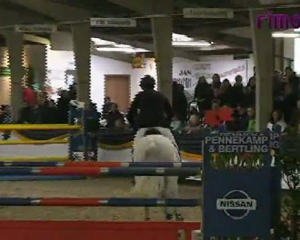 Vreden 2011