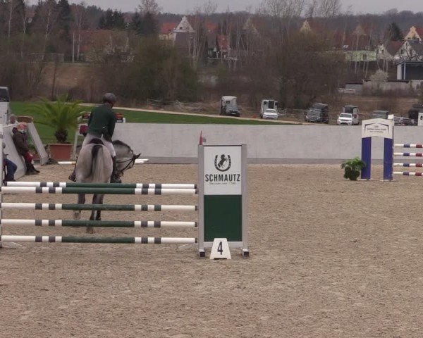 Reitturnier Zwickau 2024