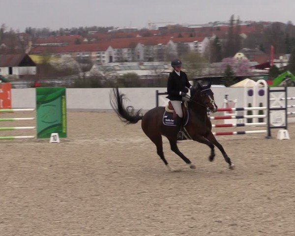 Reitturnier Zwickau 2024