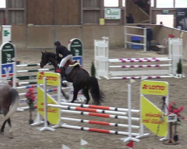 Reitturnier Krumke 2024