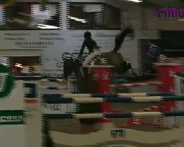 Vreden 2011