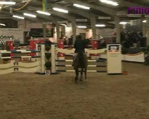 Vreden 2011