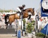 jumper Chakalaka 8 (Oldenburg show jumper, 2010, from Chacco-Blue)