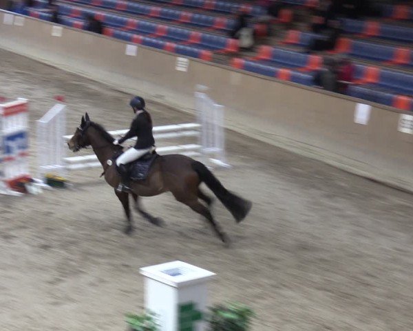 Reitturnier Krumke 2024