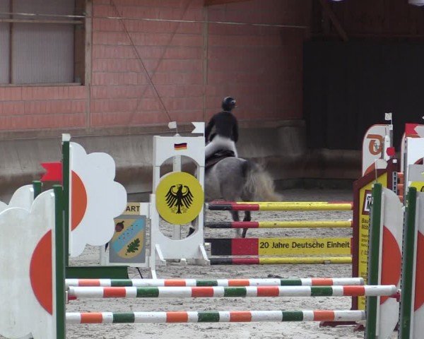 Reitturnier Tremsdorf, Eichenhof 2024