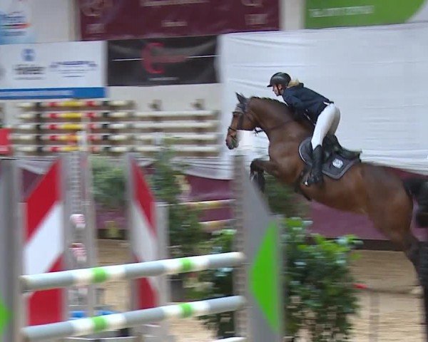 Reitturnier Eicherloh RH Laurent/Obb. 2024