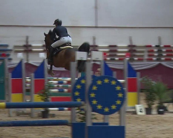 Reitturnier Eicherloh RH Laurent/Obb. 2024