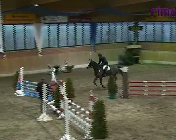 Heiden 2011