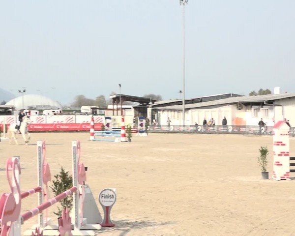 Reitturnier Giubiasco 2024