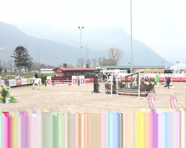 Reitturnier Giubiasco 2024