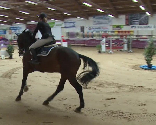Reitturnier Eicherloh RH Laurent/Obb. 2024