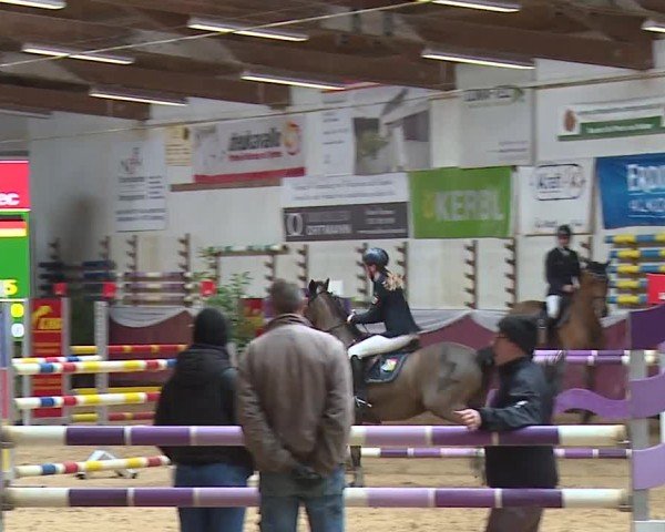 Reitturnier Eicherloh RH Laurent/Obb. 2024