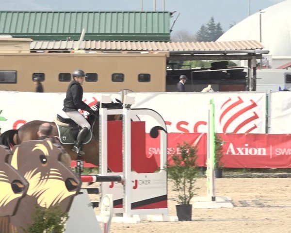 Reitturnier Giubiasco 2024