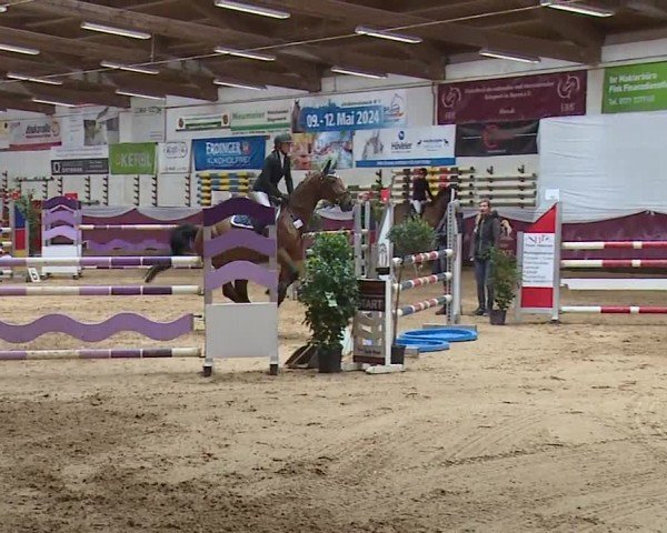 Reitturnier Eicherloh RH Laurent/Obb. 2024