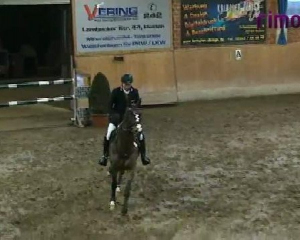 Heiden 2011