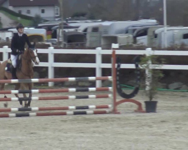 Reitturnier St. Margarethen 2024