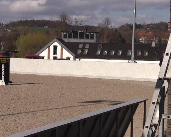 Reitturnier Zwickau 2024