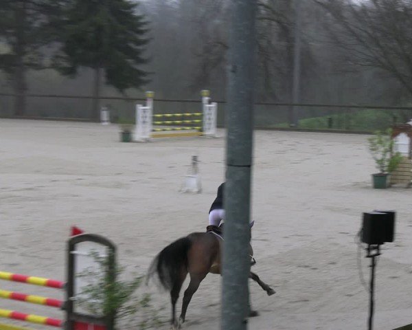 Reitturnier Erkrath - Uhlenhof 2024