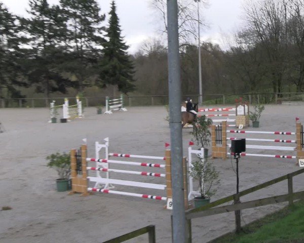 Reitturnier Erkrath - Uhlenhof 2024