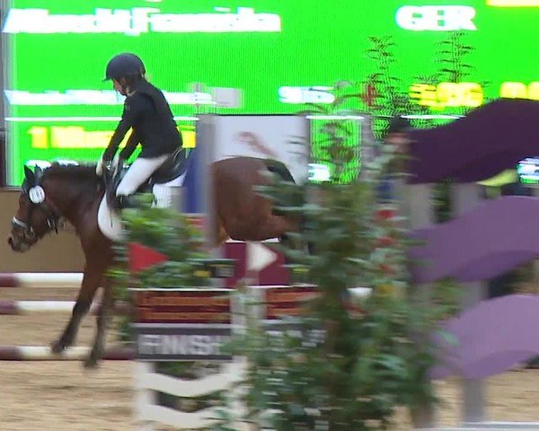 Reitturnier Eicherloh RH Laurent/Obb. 2024