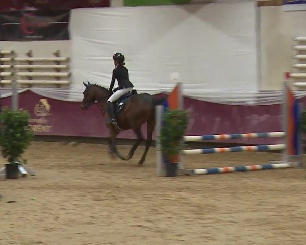 Reitturnier Eicherloh RH Laurent/Obb. 2024