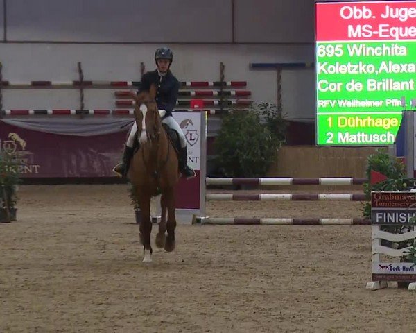 Reitturnier Eicherloh RH Laurent/Obb. 2024