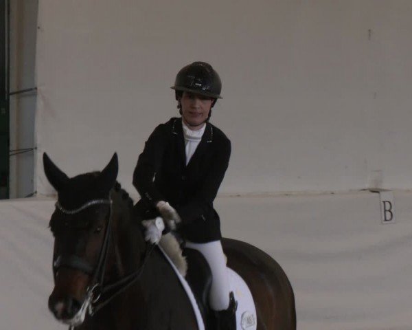 Reitturnier Zweibrücken-Landgestüt / Halle 2024