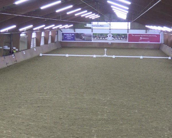 Reitturnier Bad Salzuflen 2024