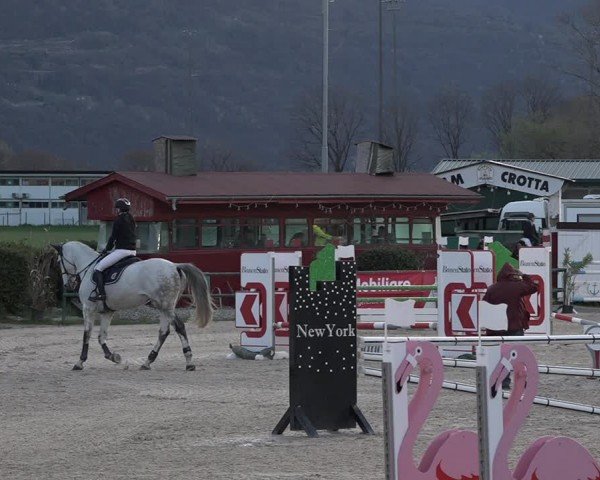 Reitturnier Giubiasco 2024
