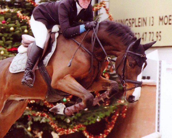 jumper Coeur de La Vie Z (Zangersheide riding horse, 2008, from Crown Z)