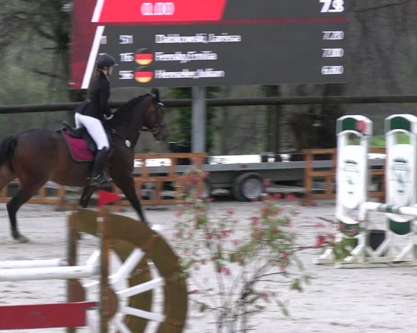 Reitturnier Erkrath - Uhlenhof 2024