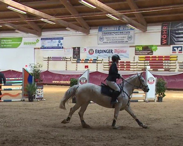 Reitturnier Eicherloh RH Laurent/Obb. 2024